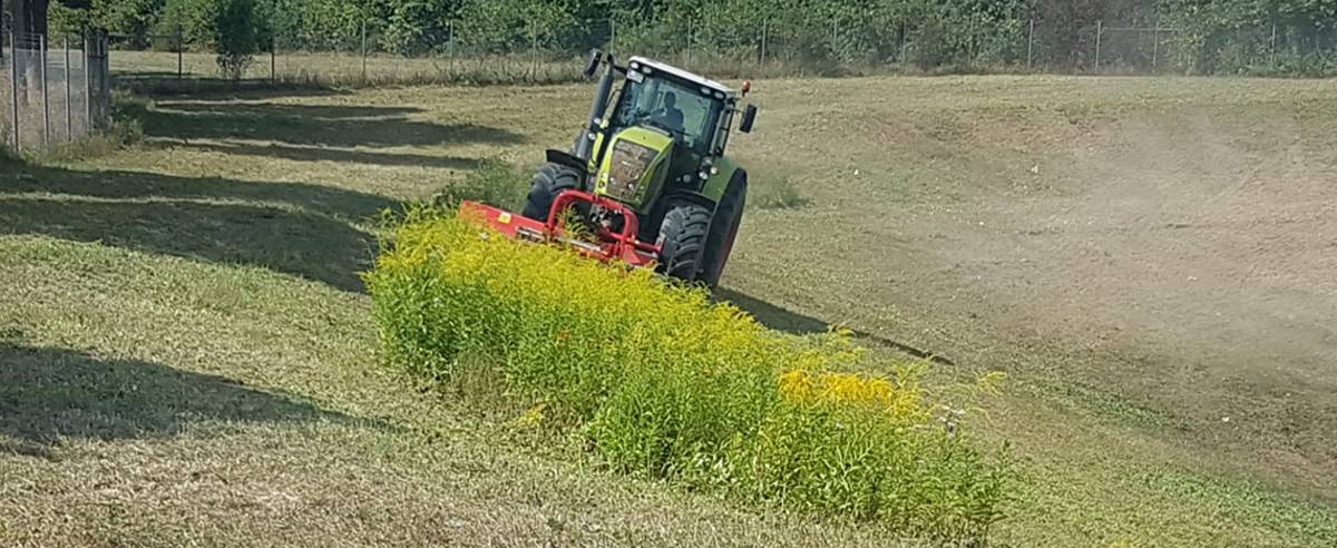 Grünflächenpflege mit dem Traktor, Rasen mähen